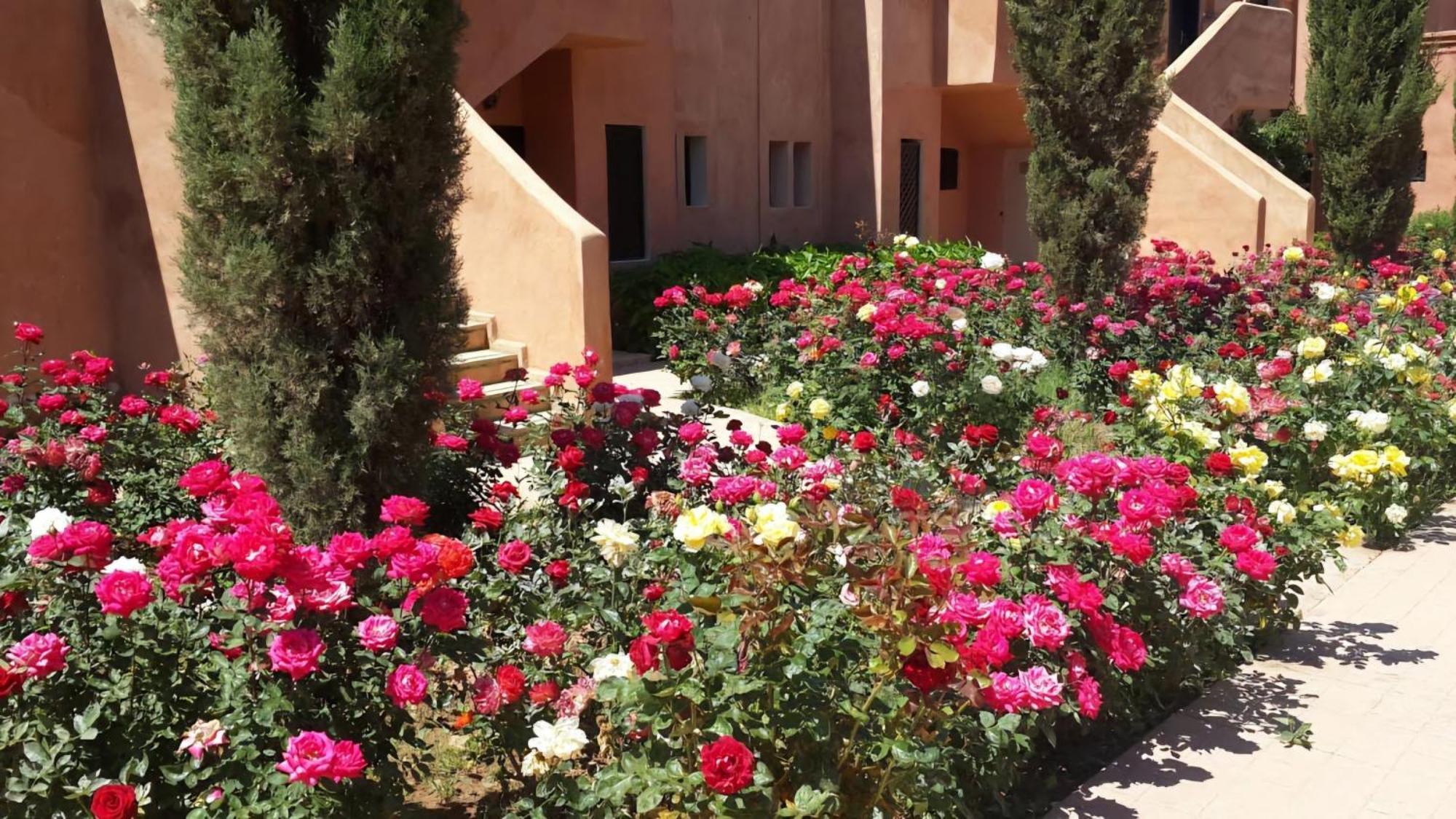 La Perle De L'atlas By Golf Appartamento Marrakesh