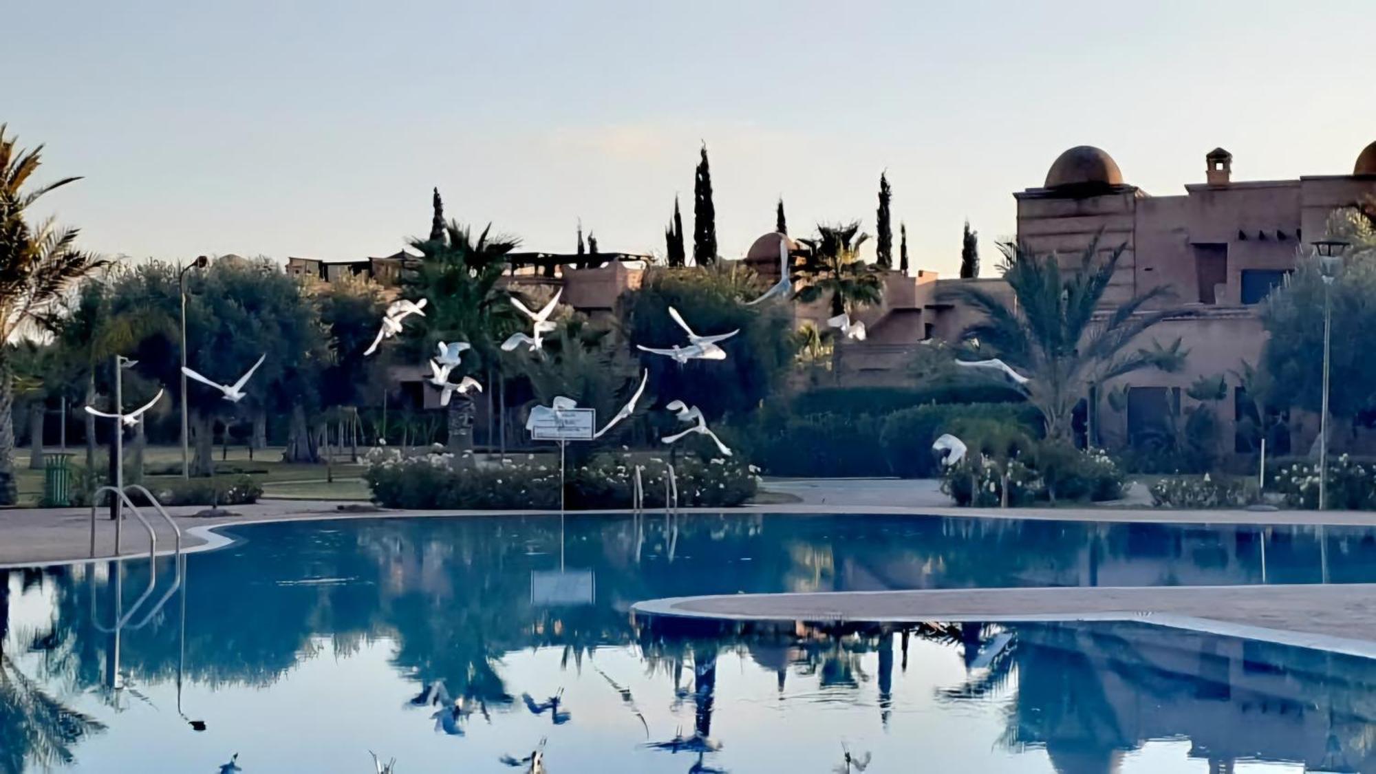 La Perle De L'atlas By Golf Appartamento Marrakesh