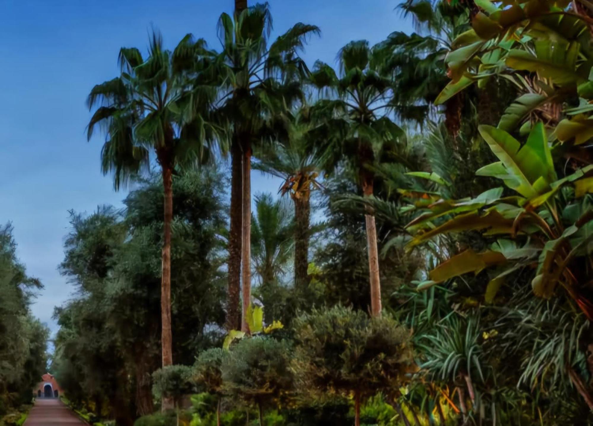 Appartamento La Perle De L'atlas By Golf